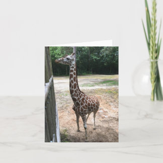 carte pour notes de girafe (quoi de neuf ?)