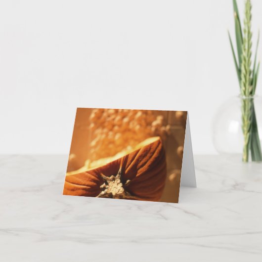 Carte pour notes de graines de citrouille (Devant)