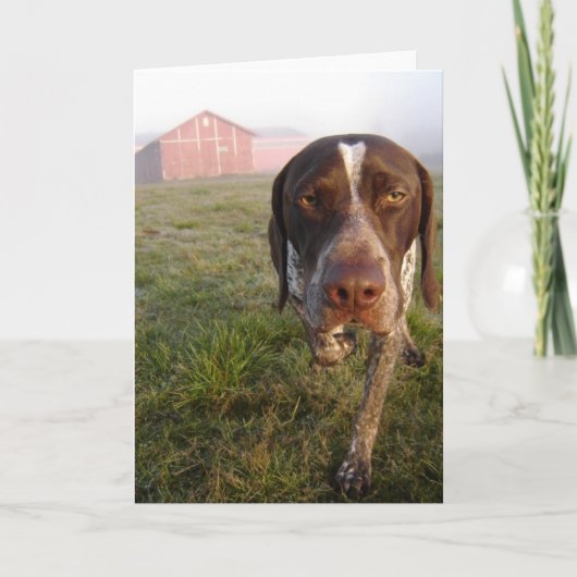 Carte pour notes de grange de Walter (Devant)