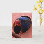 carte pour notes de lorikeet (bonjour) (Fleur jaune)