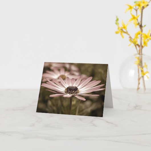 Carte pour notes de macro rose Daisy (Fleur jaune)