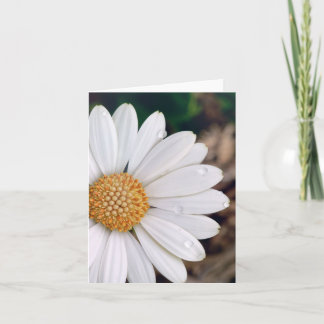 Carte pour notes de marguerite africaine