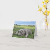 Carte pour notes de marionnettes Weimaraner (Fleur jaune)