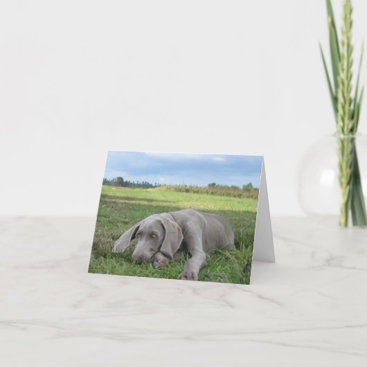 Carte pour notes de marionnettes Weimaraner (Devant)