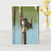 Carte pour notes de Marsh Wren (Fleur jaune)