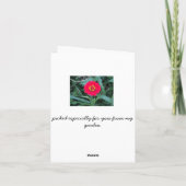 Carte pour notes de Merci (Dos)