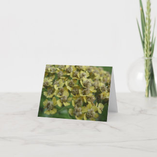 Carte pour notes de millefeuille