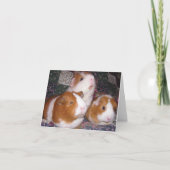 Carte pour notes de Minerva et d'amis (Devant)