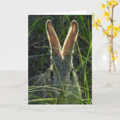 Carte pour notes de Montagne Cottontail (Fleur jaune)