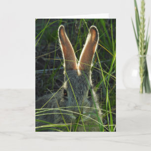 Carte pour notes de Montagne Cottontail