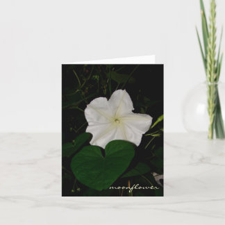 carte pour notes de moonflower