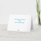 Carte pour notes de mouette (Dos)