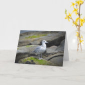 Carte pour notes de mouette (Fleur jaune)