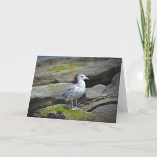 Carte pour notes de mouette