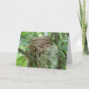 Carte pour notes de nid d'oiseaux