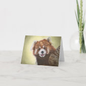 Carte pour notes de panda rouge (Devant)