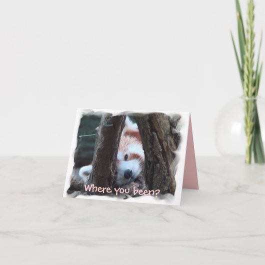 Carte pour notes de panda rouge : "Où vous étés ? (Devant)