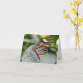 Carte pour notes de papillon de Glasswing (Fleur jaune)