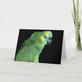 Carte pour notes de perroquet de l'Amazonie