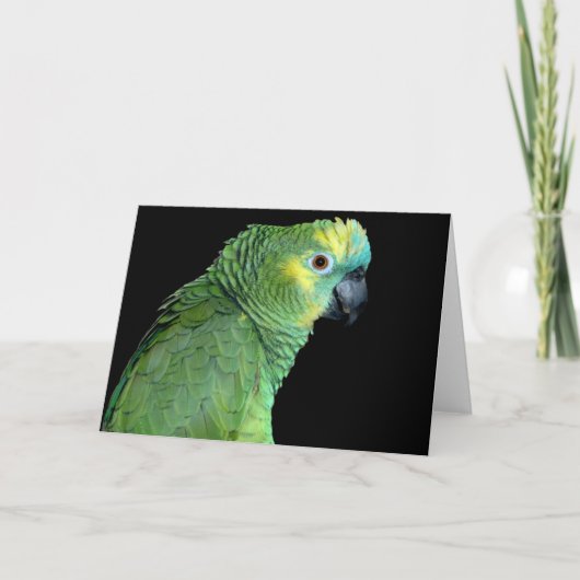 Carte pour notes de perroquet de l'Amazonie (Devant)