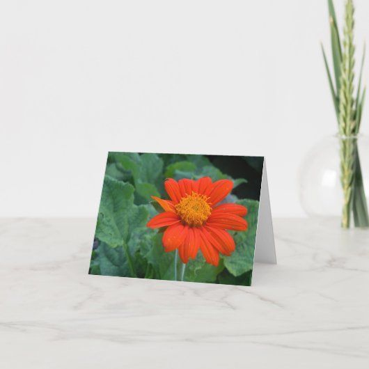Carte pour notes de photographie (Devant)