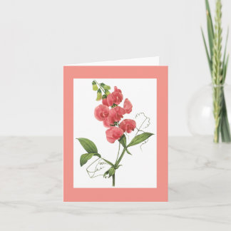 Carte pour notes de pois doux de Redoute