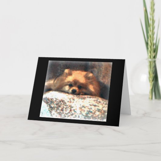 Carte pour notes de Pomeranian (Devant)