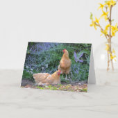 Carte pour notes de poules de soleil (Fleur jaune)
