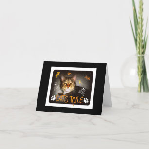 Carte pour notes de règle de chats
