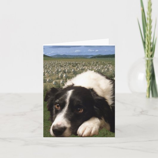 Carte pour notes de rêves de border collie (Devant)