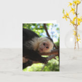 Carte pour notes de singe de capucin (Fleur jaune)