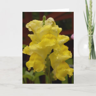 Carte pour notes de snapdragon jaune soleil
