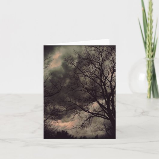 Carte pour notes de tempête d'hiver (Devant)