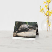 carte pour notes de tortue de bébé (encouragement) (Fleur jaune)