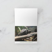 carte pour notes de tortue de bébé (encouragement) (Intérieur)