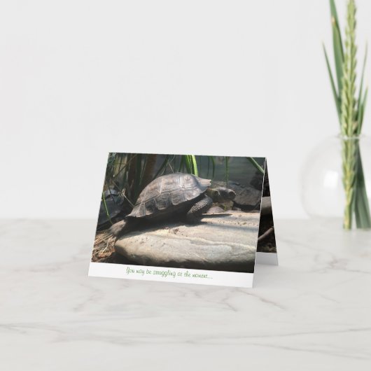 carte pour notes de tortue de bébé (encouragement) (Devant)