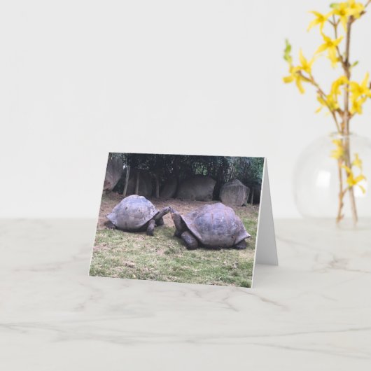 carte pour notes de tortue de Galapagos (Fleur jaune)