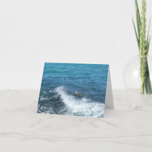 carte pour notes de tortue de natation (blanc à