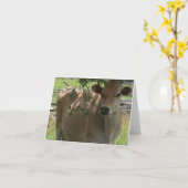 Carte pour notes de vache du Jersey (Fleur jaune)