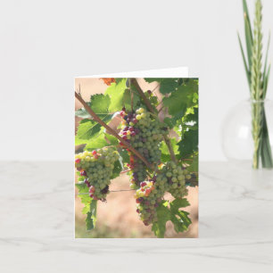 Carte pour notes de Vinyard