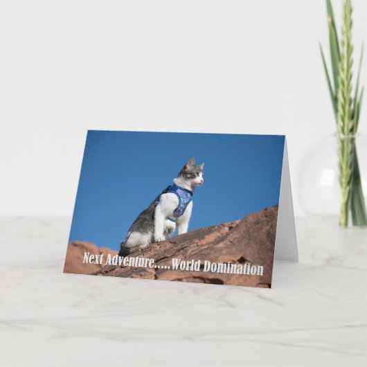 Carte pour notes de World Domination (Devant)
