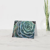 Carte pour notes d'Echeveria (Devant)