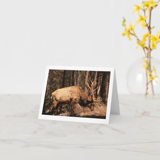 Carte pour notes d'élans (Fleur jaune)