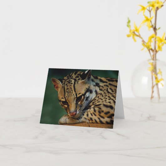 Carte pour notes d'occelot (Fleur jaune)