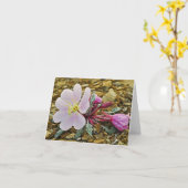 Carte pour notes d'oenothère biennale de désert (Fleur jaune)