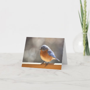 Carte pour notes d'oiseau bleu - masquez à
