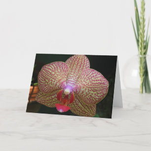 Carte pour notes d'orchidée