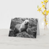 Carte pour notes d'otarie (Fleur jaune)