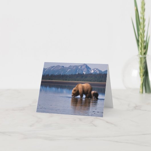 Carte pour notes d'ours gris (Devant)