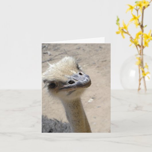 Carte pour notes drôle d'autruche (Fleur jaune)